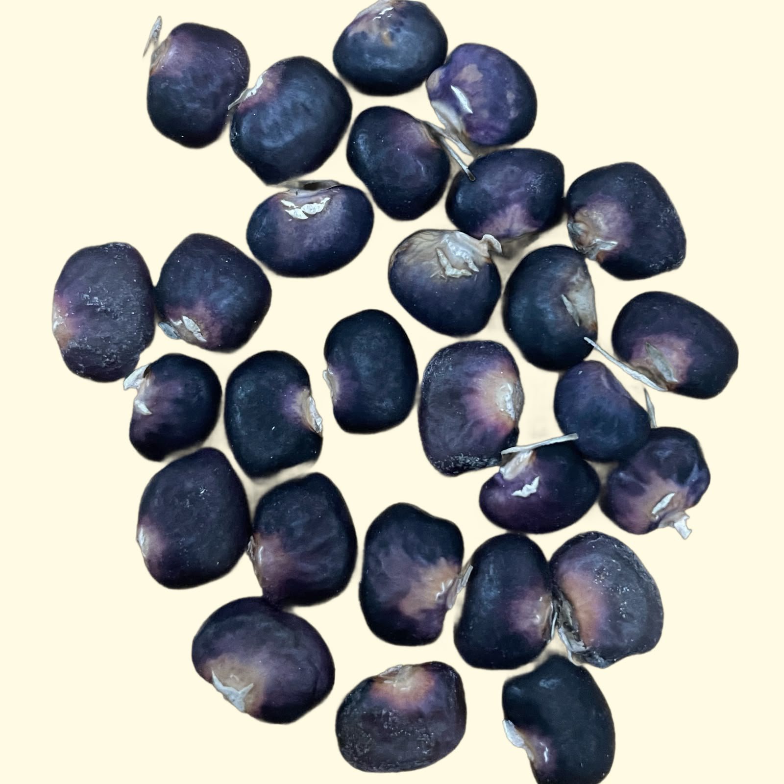2026/01/1000024018.jpg