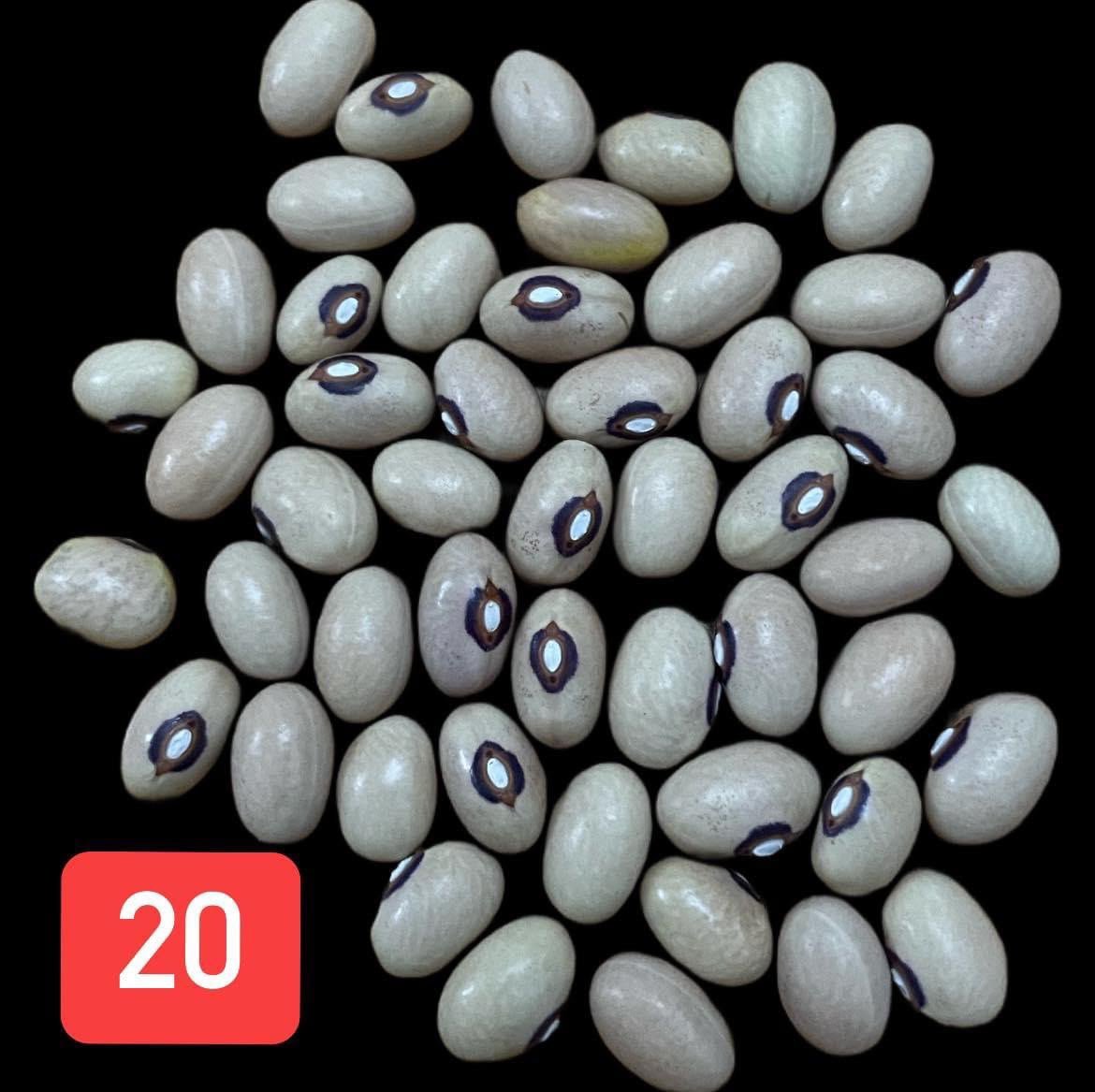 2026/01/1000024087.jpg